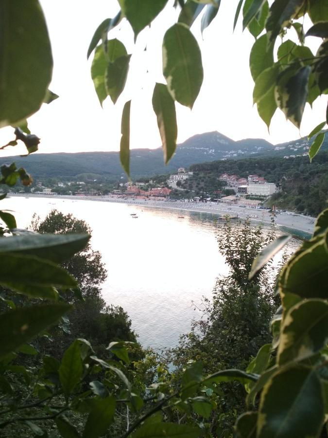 Appartement Perivoli Tessa'S à Parga Extérieur photo